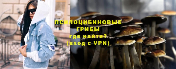 твердый Володарск