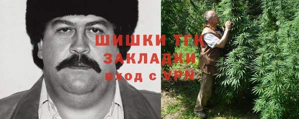 твердый Володарск