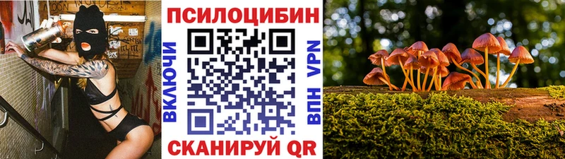 Псилоцибиновые грибы мицелий сколько стоит Электросталь